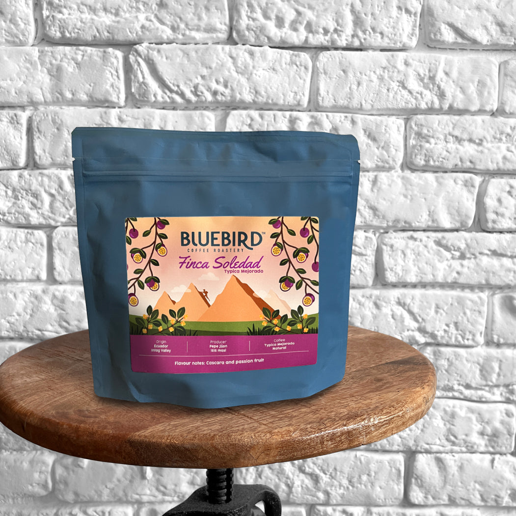 FINCA SOLEDAD Filterkaffee - Bluebird Coffee (Single Brew Portion 15g)