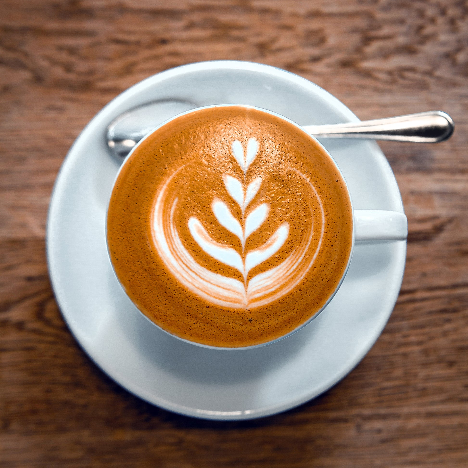Barista Basics Kurs Workshop Coffee Kaffee LatteArt - The Holy Cross Brewing Society