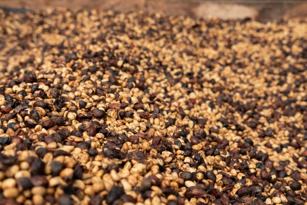 THE GRIND FATHER • Costa Rica