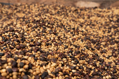 THE GRIND FATHER • Costa Rica