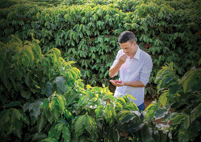 FILTER COFFEE CLASSIC - SUBSCRIPTION