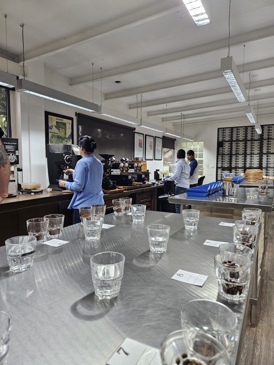 THE HOLY BEANS 2 x 250g ABONNEMENT