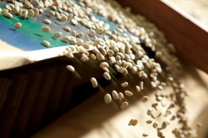 FILTER COFFEE CLASSIC - SUBSCRIPTION