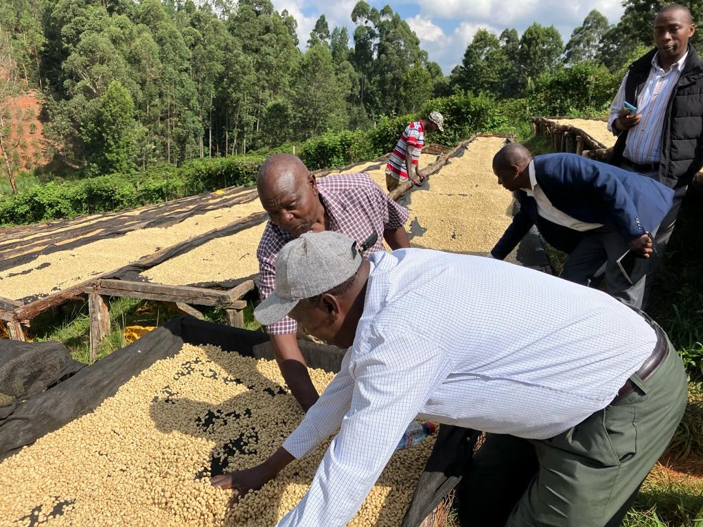 THE SMILING KNIFE • Kenia