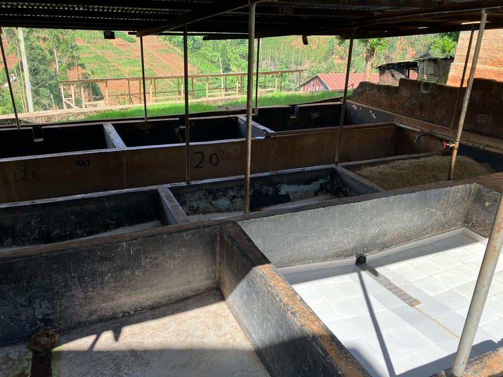 THE SMILING KNIFE • Kenia