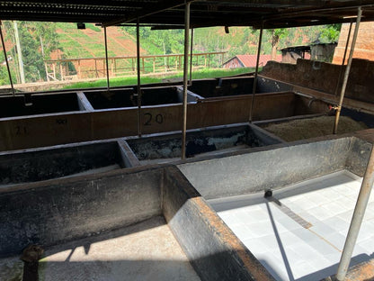 THE SMILING KNIFE • Kenia