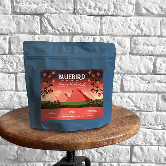 FINCA SOLEDAD Filterkaffee - Bluebird Coffee Roasters (Single Brew Portion 15g)
