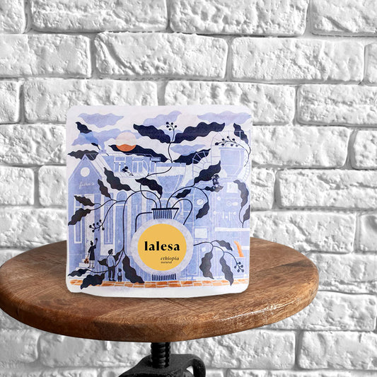 LALESA Filterkaffee (Omniroast) - Father's Coffee Roastery
