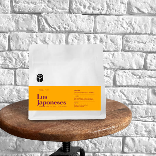 LOS JAPONESES Filterkaffee - Subtext Coffee Roasters