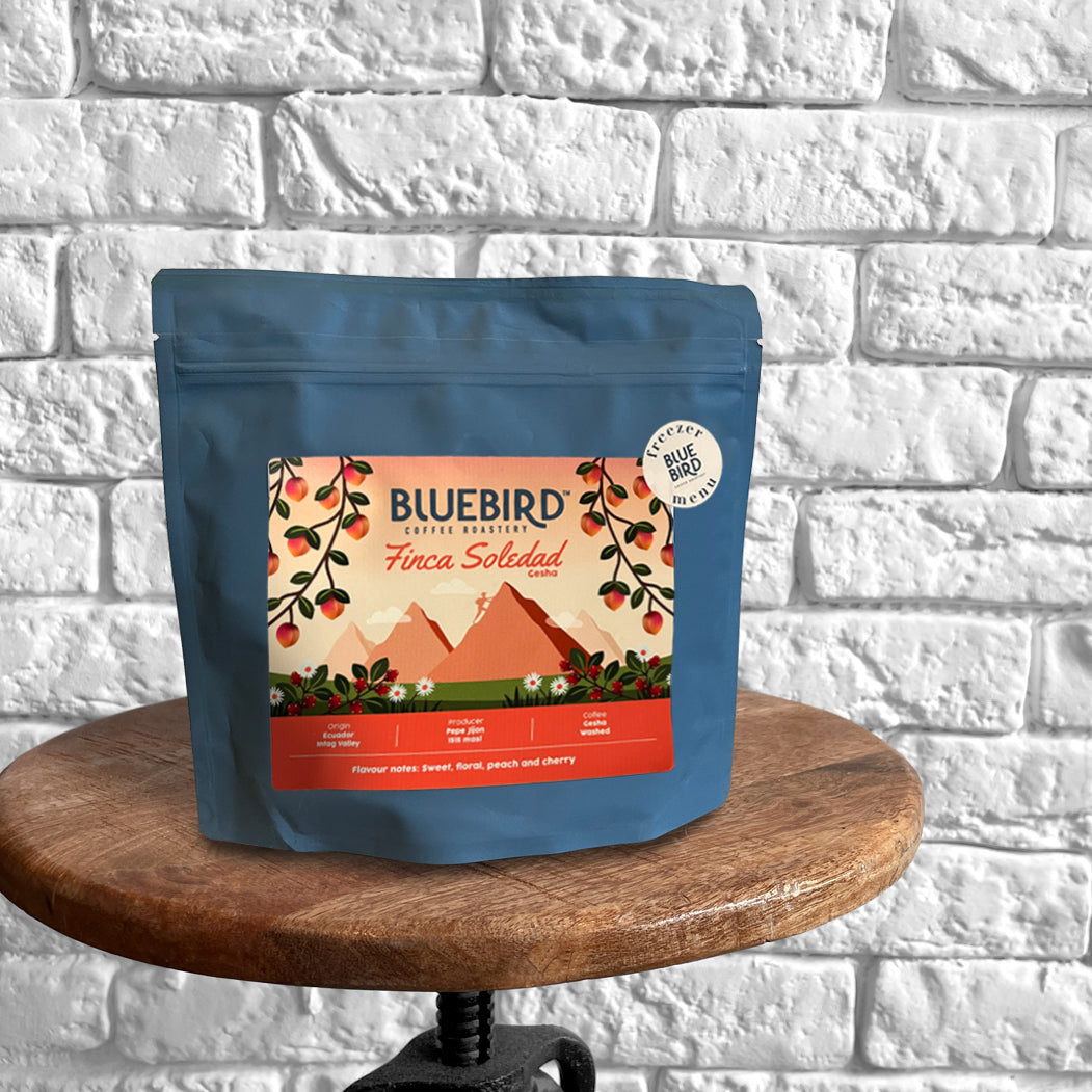 FINCA SOLEDAD Geisha Filterkaffee - Bluebird Coffee Roasters (Single Brew Portion 15g)